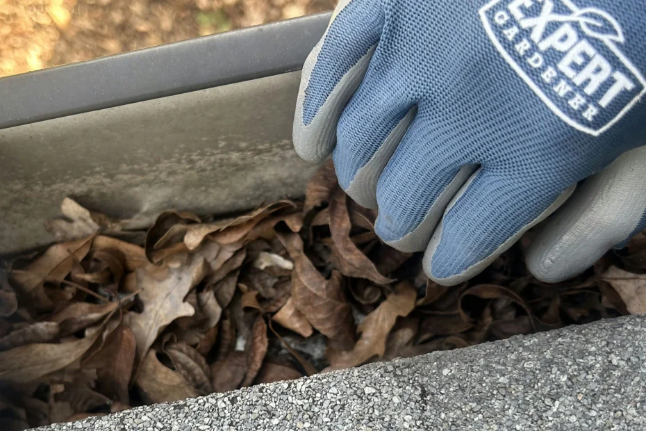 Gutter Cleaning Cedar Bluff