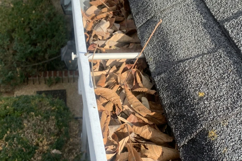 Gutter Cleaning Cedar Bluff